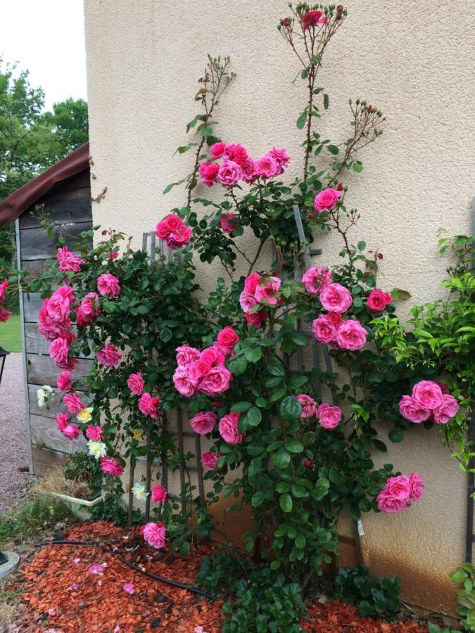 La Mimona Bed & Breakfast Sainte-Eulalie-en-Born Dış mekan fotoğraf