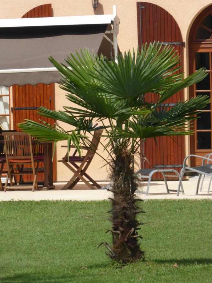 La Mimona Bed & Breakfast Sainte-Eulalie-en-Born Dış mekan fotoğraf